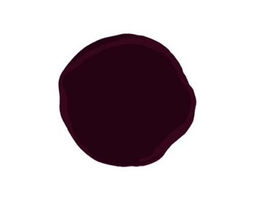 Smalto Gel Eva's Tentation 14ml